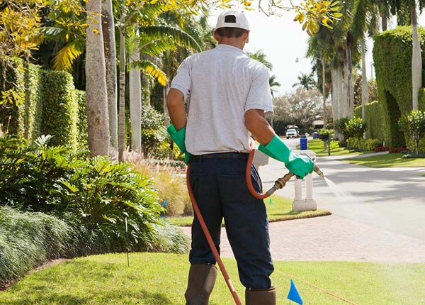 About Farmington IA Pest Control